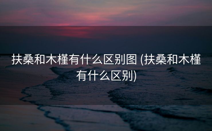 扶桑和木槿有什么区别图 (扶桑和木槿有什么区别)