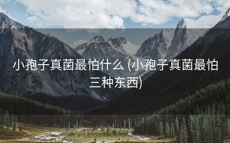 小孢子真菌最怕什么 (小孢子真菌最怕三种东西)