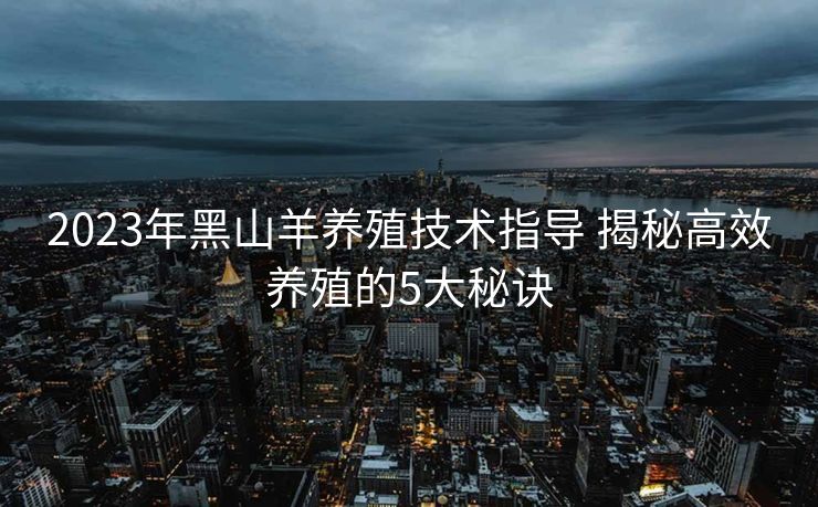 2023年黑山羊养殖技术指导 揭秘高效养殖的5大秘诀