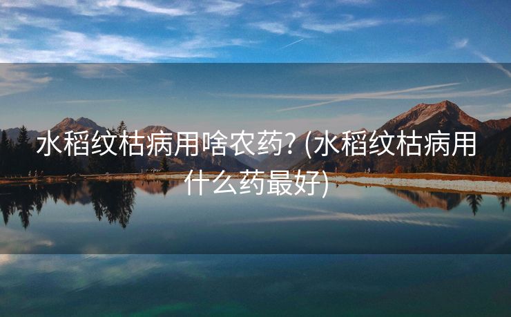 水稻纹枯病用啥农药? (水稻纹枯病用什么药最好)