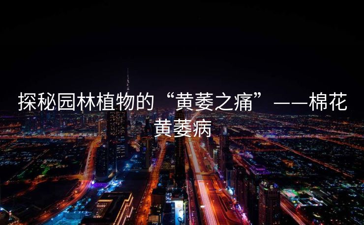 探秘园林植物的“黄萎之痛”——棉花黄萎病