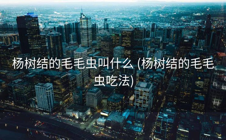 杨树结的毛毛虫叫什么 (杨树结的毛毛虫吃法)