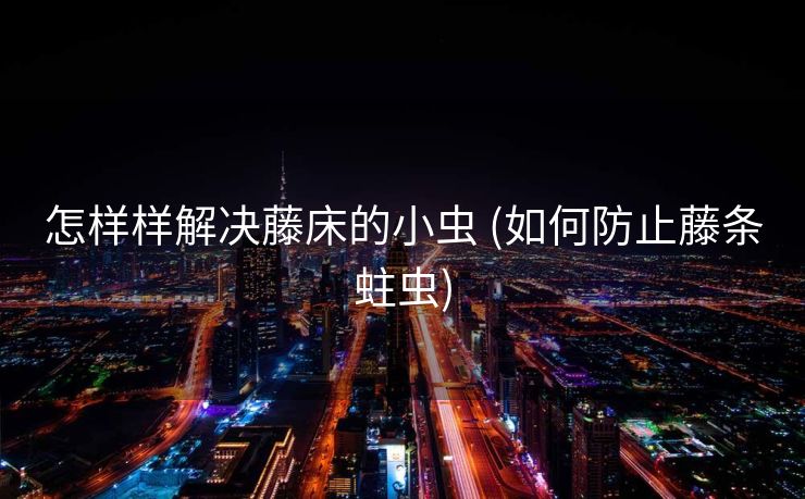 怎样样解决藤床的小虫 (如何防止藤条蛀虫)