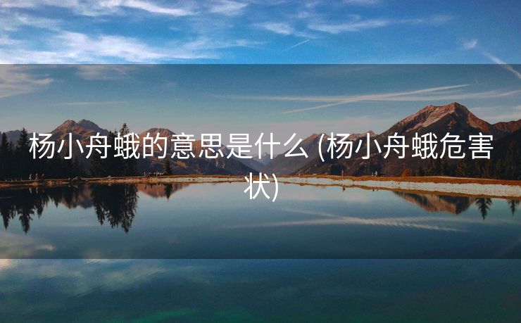 杨小舟蛾的意思是什么 (杨小舟蛾危害状)