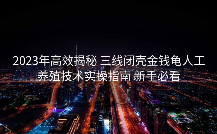 2023年高效揭秘 三线闭壳金钱龟人工养殖技术实操指南 新手必看