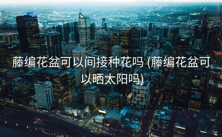 藤编花盆可以间接种花吗 (藤编花盆可以晒太阳吗)