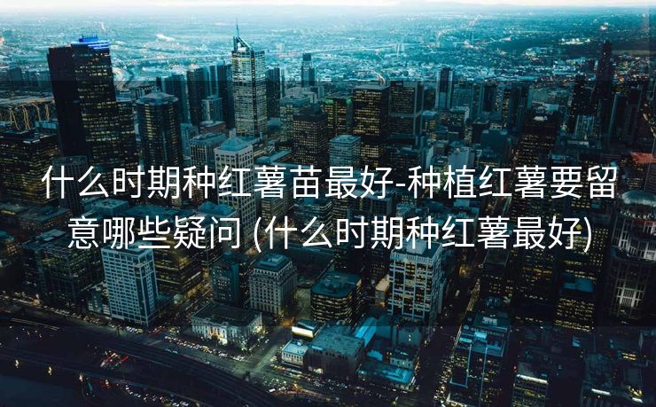 什么时期种红薯苗最好-种植红薯要留意哪些疑问 (什么时期种红薯最好)