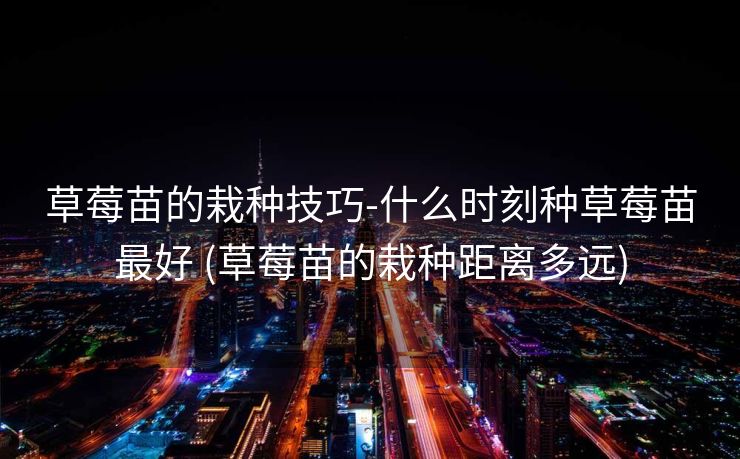 草莓苗的栽种技巧-什么时刻种草莓苗最好 (草莓苗的栽种距离多远)