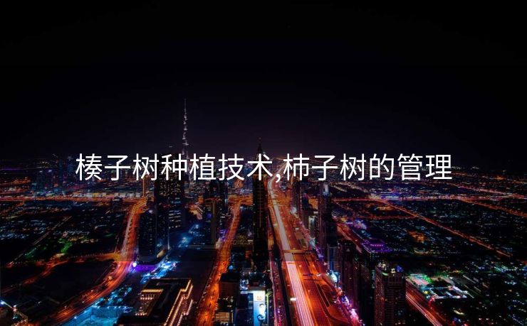 楱子树种植技术,杮子树的管理 楱子树种植技术,杮子树的管理