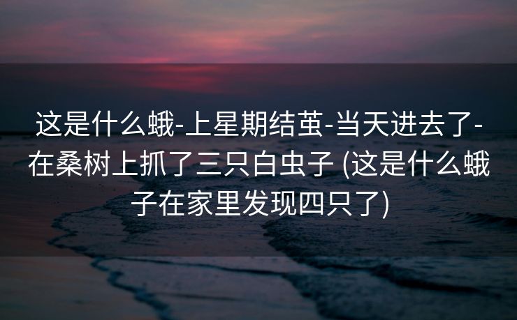 这是什么蛾-上星期结茧-当天进去了-在桑树上抓了三只白虫子 (这是什么蛾子在家里发现四只了)