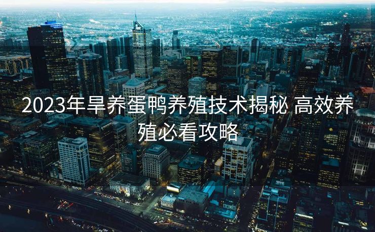 2023年旱养蛋鸭养殖技术揭秘 高效养殖必看攻略