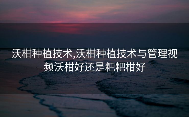 沃柑种植技术,沃柑种植技术与管理视频沃柑好还是粑粑柑好
