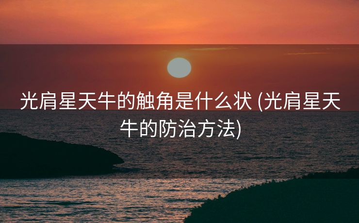 光肩星天牛的触角是什么状 (光肩星天牛的防治方法)