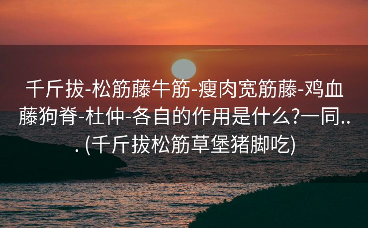 千斤拔-松筋藤牛筋-瘦肉宽筋藤-鸡血藤狗脊-杜仲-各自的作用是什么?一同... (千斤拔松筋草堡猪脚吃)