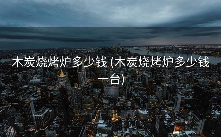 木炭烧烤炉多少钱 (木炭烧烤炉多少钱一台)