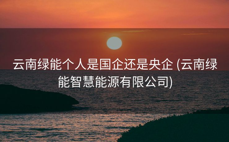 云南绿能个人是国企还是央企 (云南绿能智慧能源有限公司)