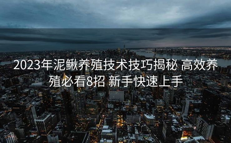 2023年泥鳅养殖技术技巧揭秘 高效养殖必看8招 新手快速上手