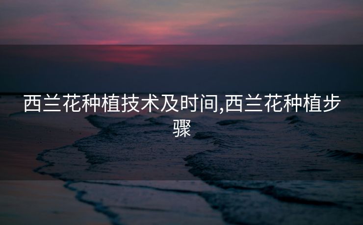 西兰花种植技术及时间,西兰花种植步骤