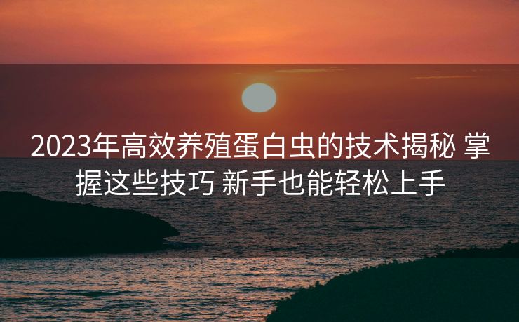 2023年高效养殖蛋白虫的技术揭秘 掌握这些技巧 新手也能轻松上手