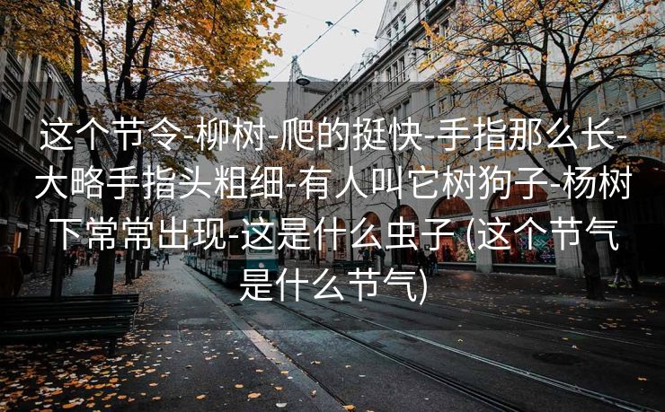 这个节令-柳树-爬的挺快-手指那么长-大略手指头粗细-有人叫它树狗子-杨树下常常出现-这是什么虫子 (这个节气是什么节气)