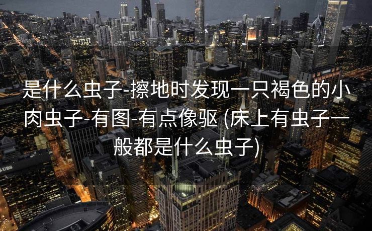 是什么虫子-擦地时发现一只褐色的小肉虫子-有图-有点像驱 (床上有虫子一般都是什么虫子)