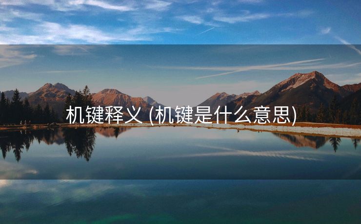 机键释义 (机键是什么意思)