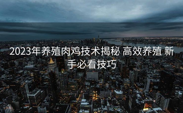 2023年养殖肉鸡技术揭秘 高效养殖 新手必看技巧