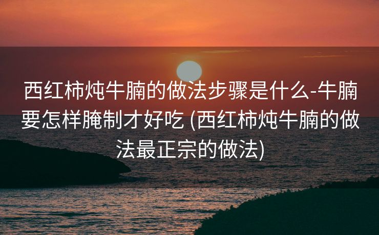 西红柿炖牛腩的做法步骤是什么-牛腩要怎样腌制才好吃 (西红柿炖牛腩的做法最正宗的做法)
