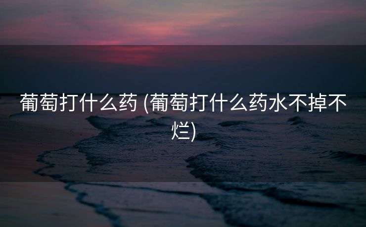 葡萄打什么药 (葡萄打什么药水不掉不烂)