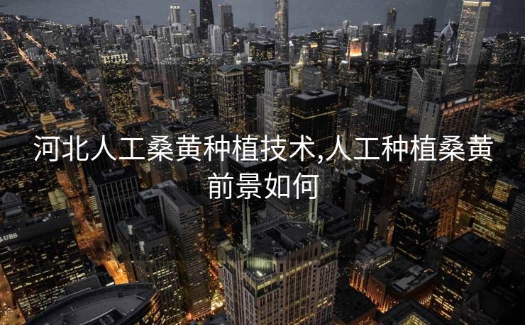 河北人工桑黄种植技术,人工种植桑黄前景如何