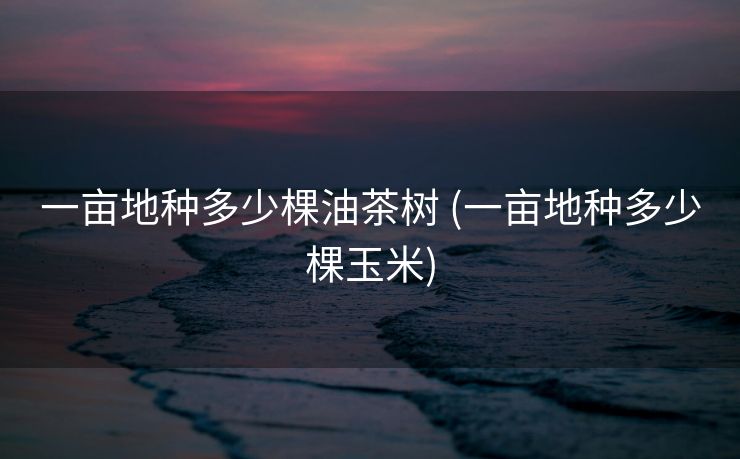 一亩地种多少棵油茶树 (一亩地种多少棵玉米)