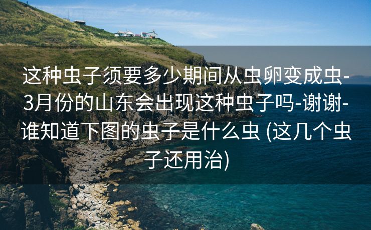 这种虫子须要多少期间从虫卵变成虫-3月份的山东会出现这种虫子吗-谢谢-谁知道下图的虫子是什么虫 (这几个虫子还用治)