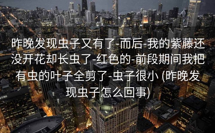 昨晚发现虫子又有了-而后-我的紫藤还没开花却长虫了-红色的-前段期间我把有虫的叶子全剪了-虫子很小 (昨晚发现虫子怎么回事)