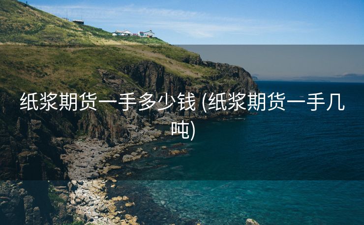 纸浆期货一手多少钱 (纸浆期货一手几吨)