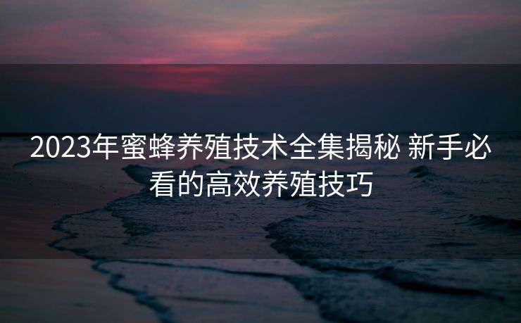 2023年蜜蜂养殖技术全集揭秘 新手必看的高效养殖技巧