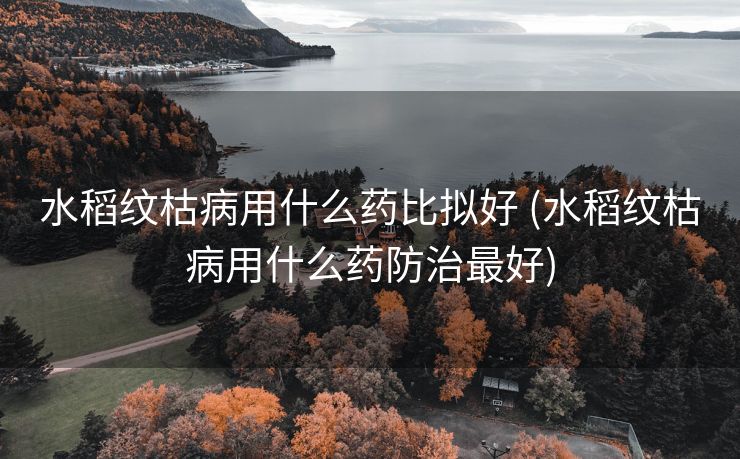 水稻纹枯病用什么药比拟好 (水稻纹枯病用什么药防治最好)