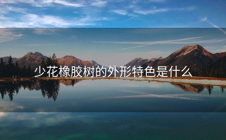 少花橡胶树的外形特色是什么