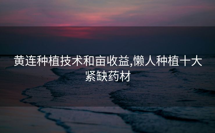 黄连种植技术和亩收益,懒人种植十大紧缺药材