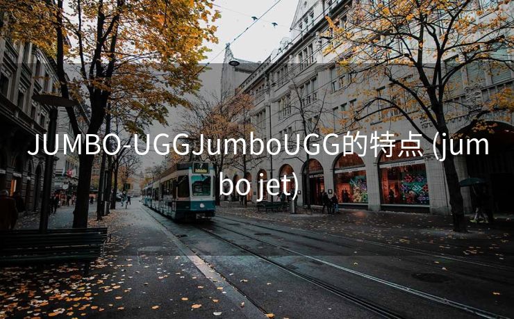 JUMBO-UGGJumboUGG的特点 (jumbo jet)