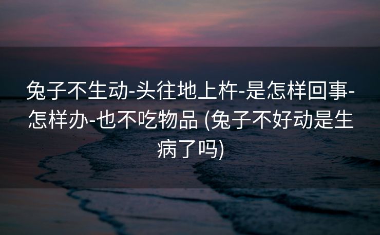 兔子不生动-头往地上杵-是怎样回事-怎样办-也不吃物品 (兔子不好动是生病了吗)