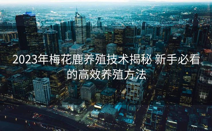2023年梅花鹿养殖技术揭秘 新手必看的高效养殖方法