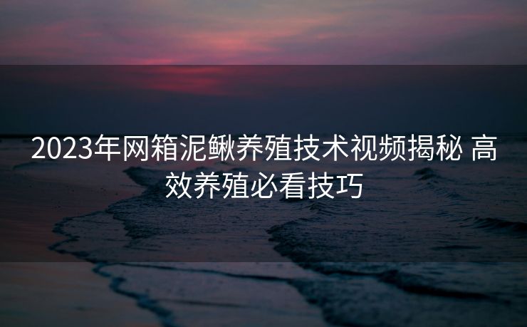 2023年网箱泥鳅养殖技术视频揭秘 高效养殖必看技巧