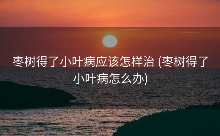 枣树得了小叶病应该怎样治 (枣树得了小叶病怎么办)