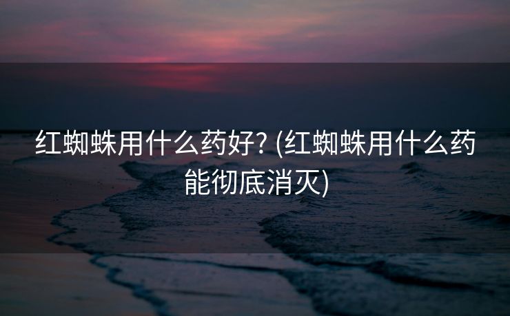 红蜘蛛用什么药好? (红蜘蛛用什么药能彻底消灭)