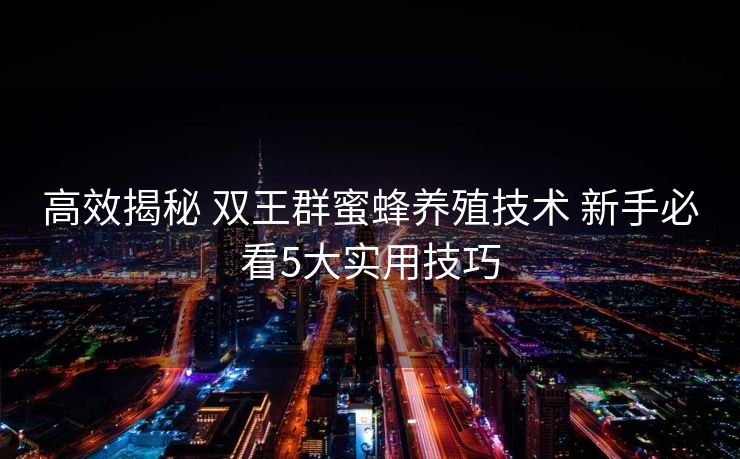 高效揭秘 双王群蜜蜂养殖技术 新手必看5大实用技巧