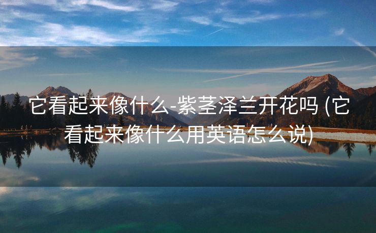 它看起来像什么-紫茎泽兰开花吗 (它看起来像什么用英语怎么说)