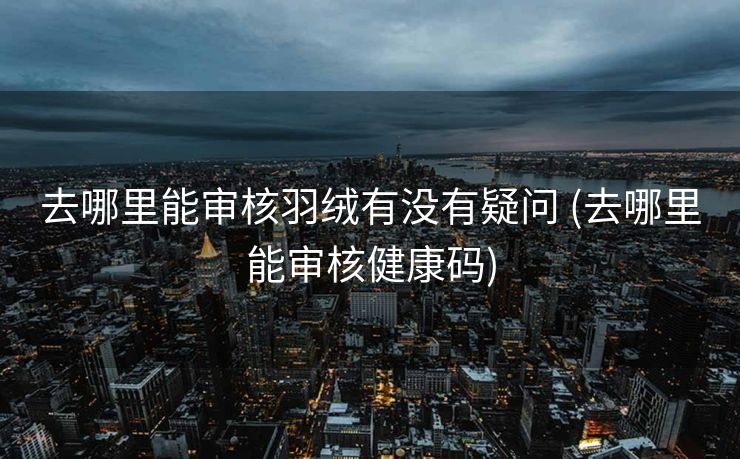 去哪里能审核羽绒有没有疑问 (去哪里能审核健康码)
