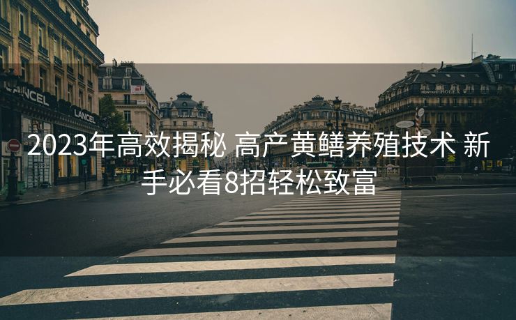 2023年高效揭秘 高产黄鳝养殖技术 新手必看8招轻松致富
