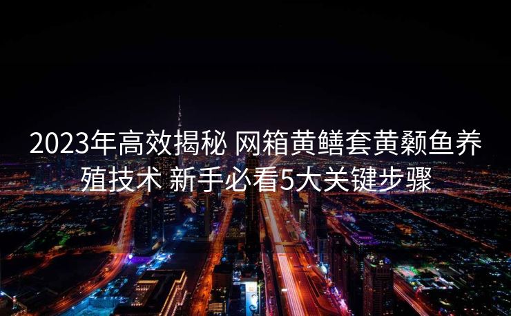 2023年高效揭秘 网箱黄鳝套黄颡鱼养殖技术 新手必看5大关键步骤