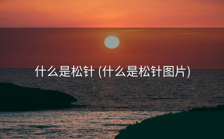 什么是松针 (什么是松针图片)